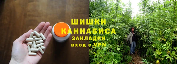 COCAINE Богородицк